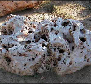 Sasso decorativo per giardino in pietra dura