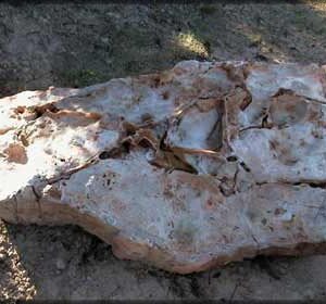 Sassi da giardino rossi in pietra dura