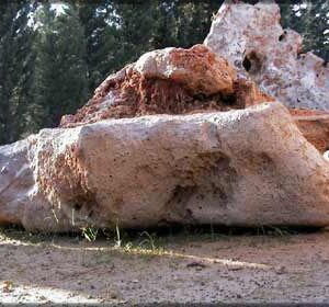 Sassi per aiuole da giardino in pietra dura